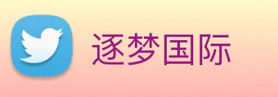 逐梦国际 Logo